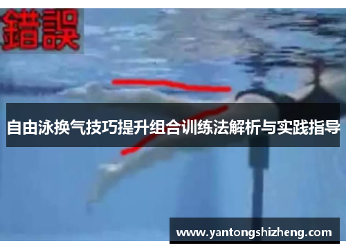 自由泳换气技巧提升组合训练法解析与实践指导