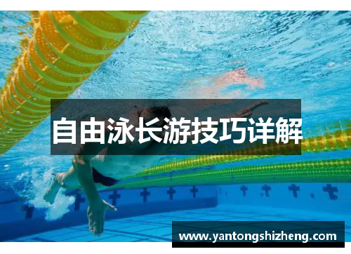自由泳长游技巧详解