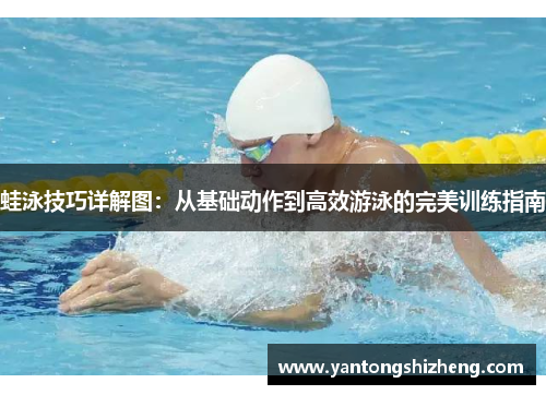 蛙泳技巧详解图：从基础动作到高效游泳的完美训练指南
