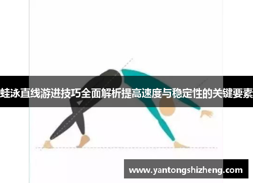 蛙泳直线游进技巧全面解析提高速度与稳定性的关键要素